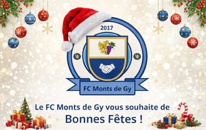Joyeuses fêtes de Noël à tous !