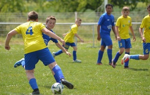 6829b966a7b5f_imagepicker66540CCAC4614A048CB830EB11E5ADFA32550000012C876F6FF28.jpg